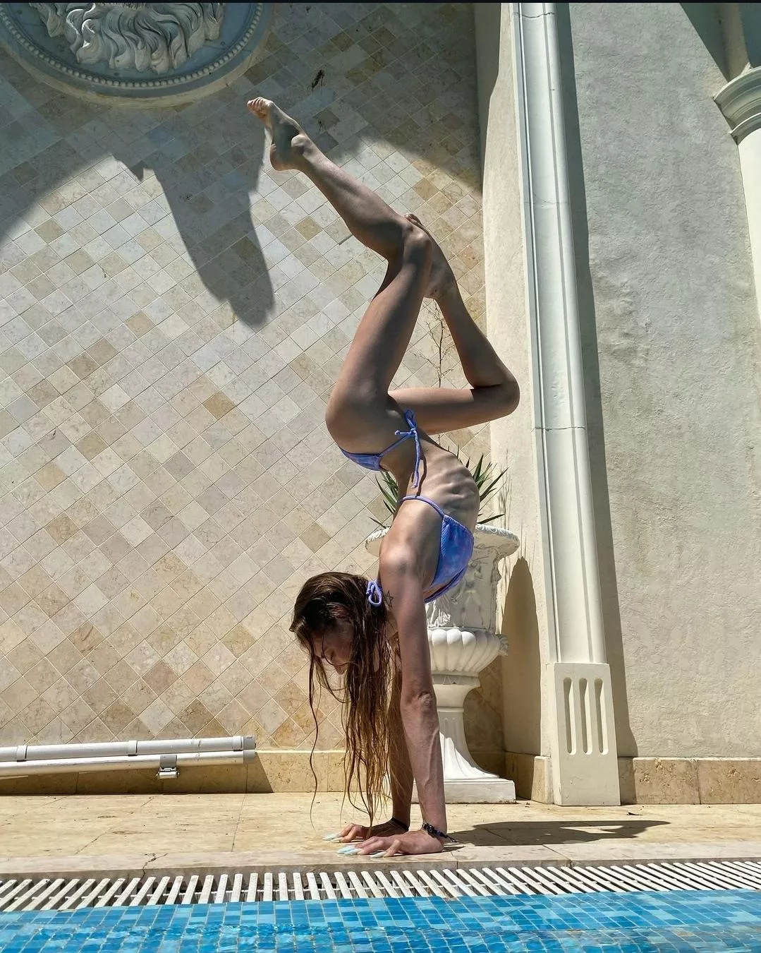 Gymnast body posted by Charlie_57_13