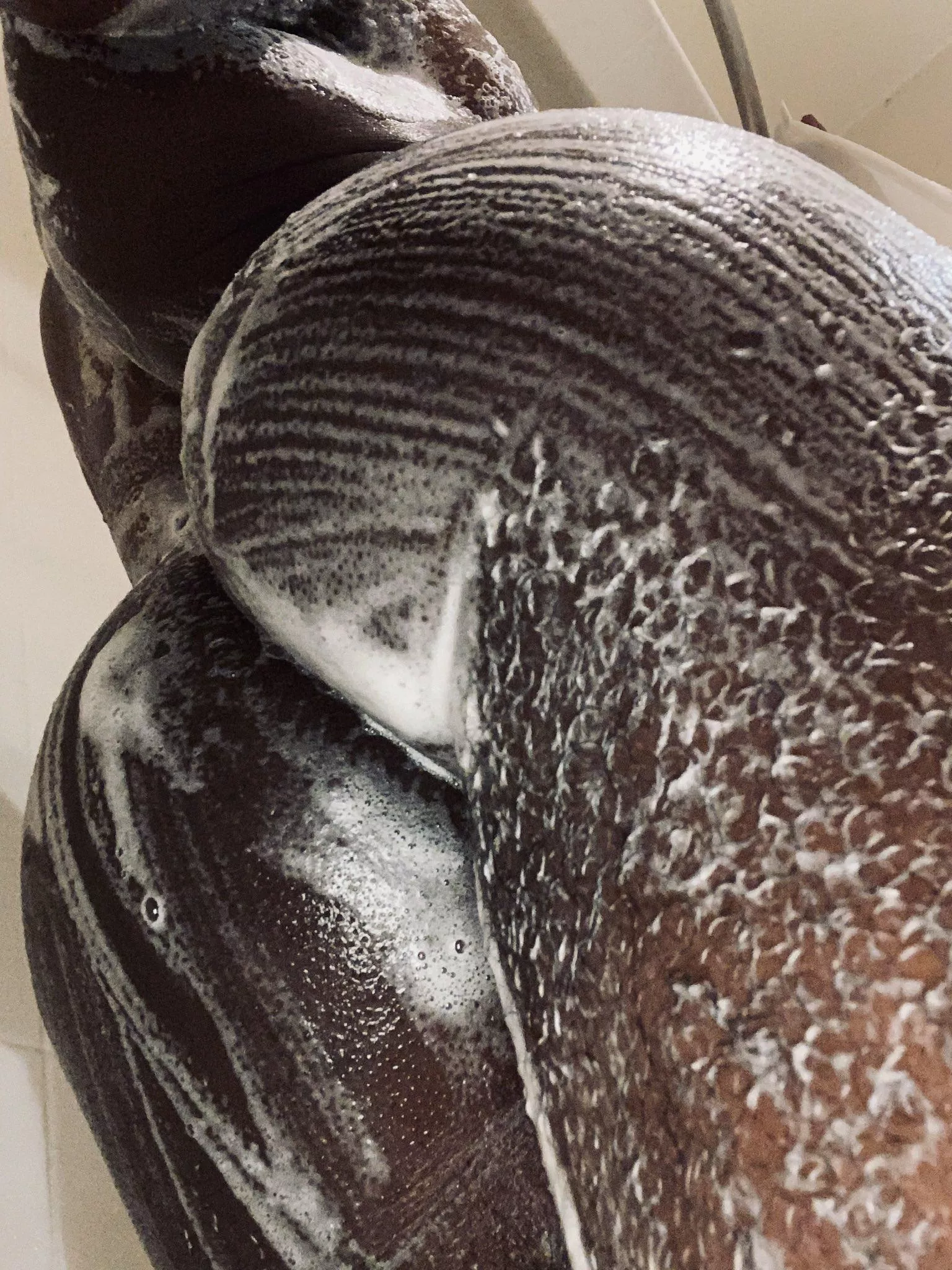 I hate the way dried sweat feels on my skin. I'm squeaky clean and ready for some shenanigans. posted by thotnmotion