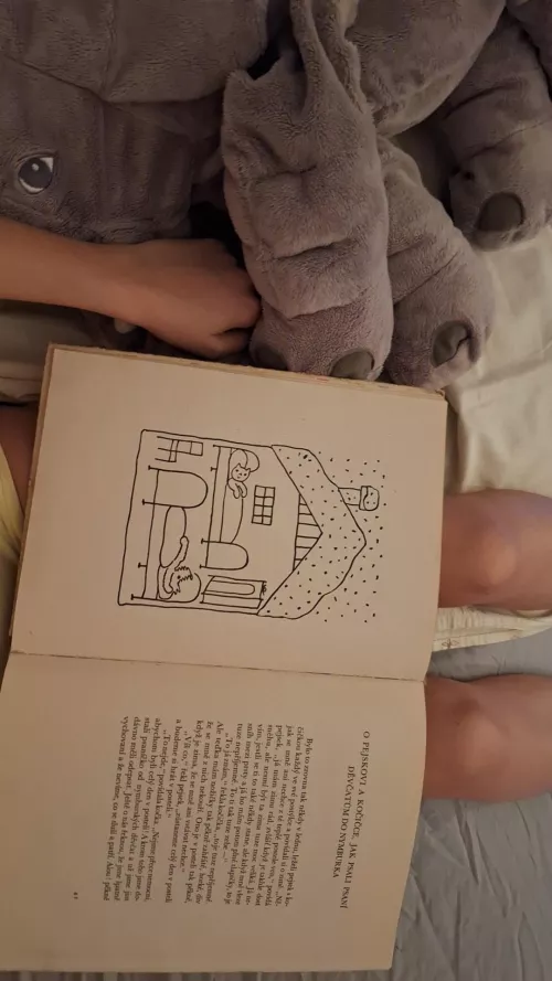 Learning to read (again) 🍓📖🐶 my first post everrr by littlesofi