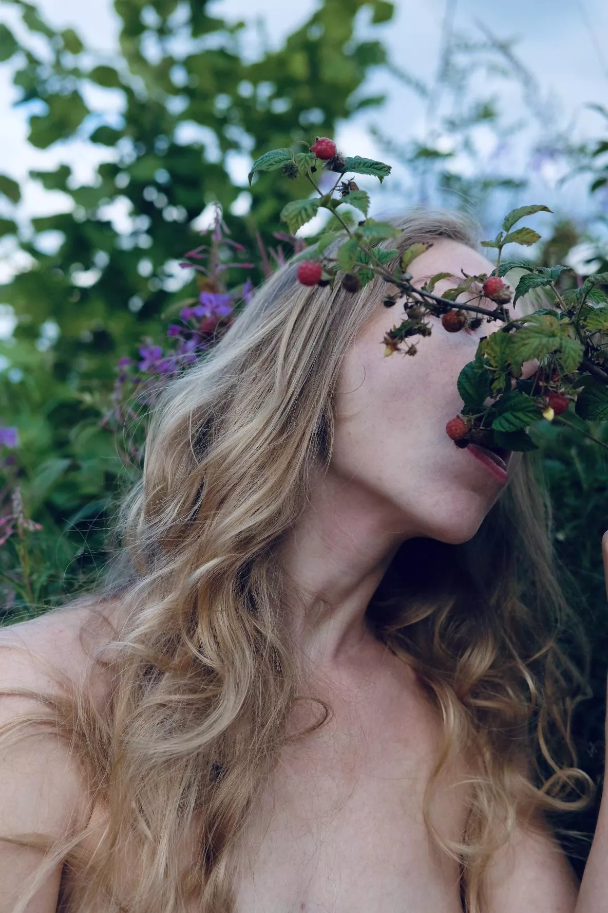 Picking berries posted by Artanni55