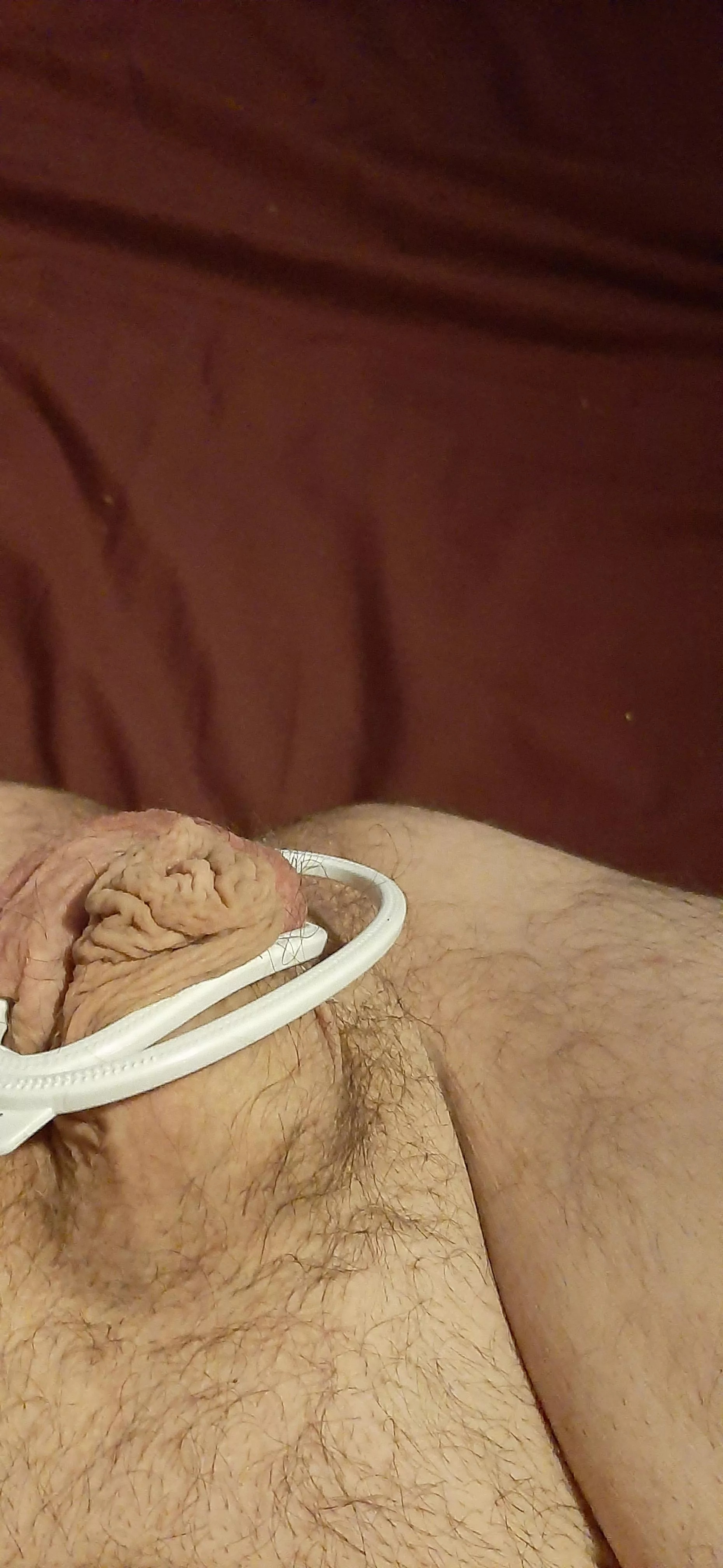 Sissy clit  posted by TerribleCockroach455