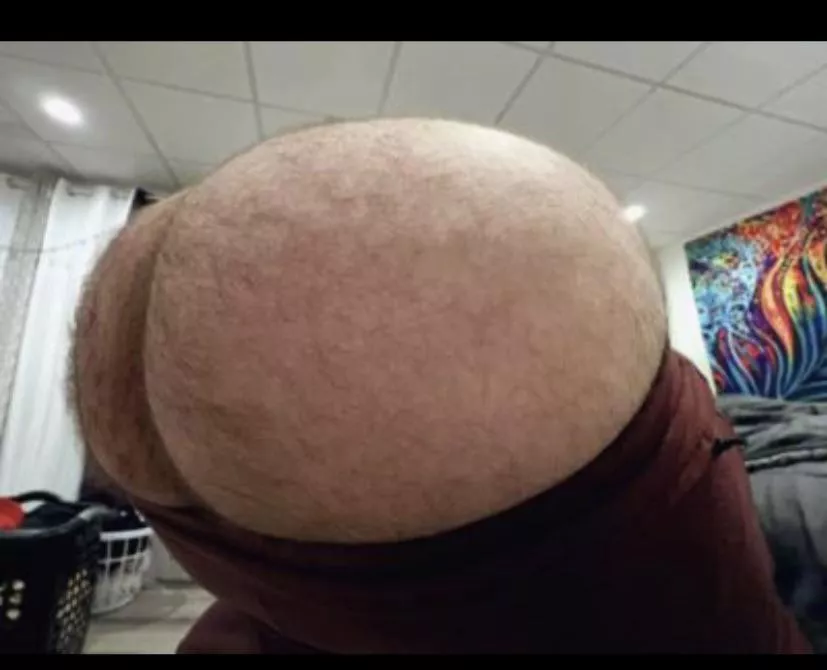 Where are the daddies that like a boy with big hairy cheeks? (; posted by NewToThis305