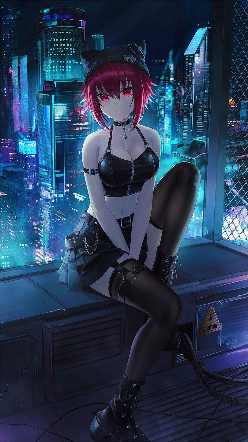 City Rooftop at Night  posted by CheetahSperm18