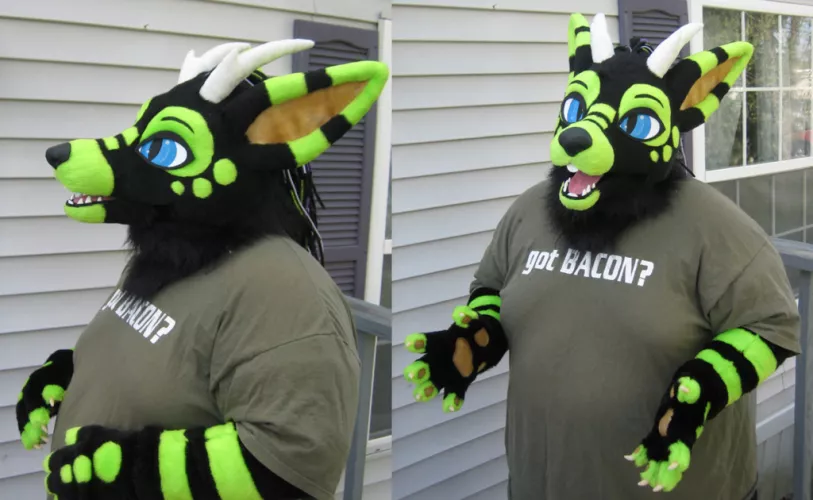 Got my own Fursuit (Well partially) :D I was hesitant to show myself since I am pretty self concious about my chonky apperance. But here ya go by KenKenKeno