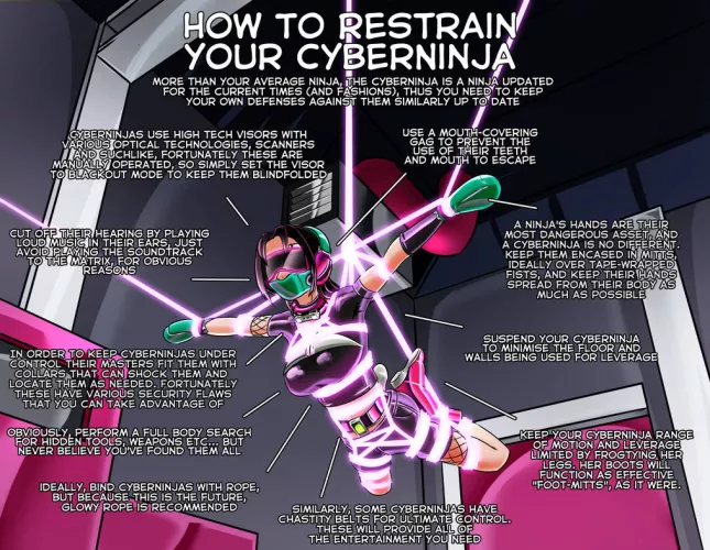 How to Restrain your Cyberninja by SiarX