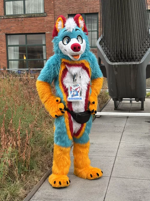 This husky is on the search for some hugs, would you give him one? by FluffyHusky88