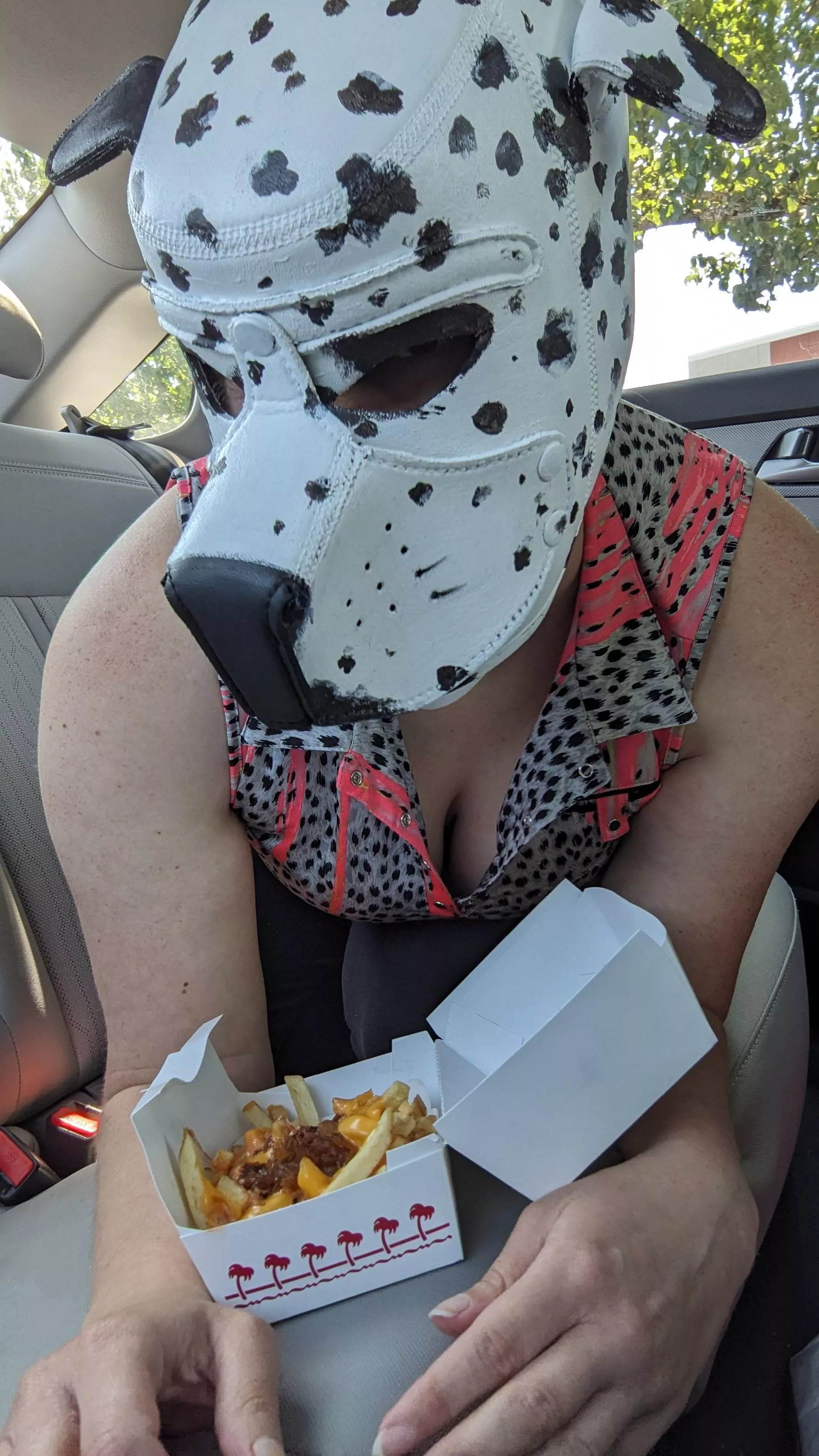 This bitch has got to eat animal-style whenever she can get it! posted by sensualskunk
