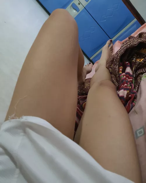 Want some legs to sleep on?  by anash_xxi