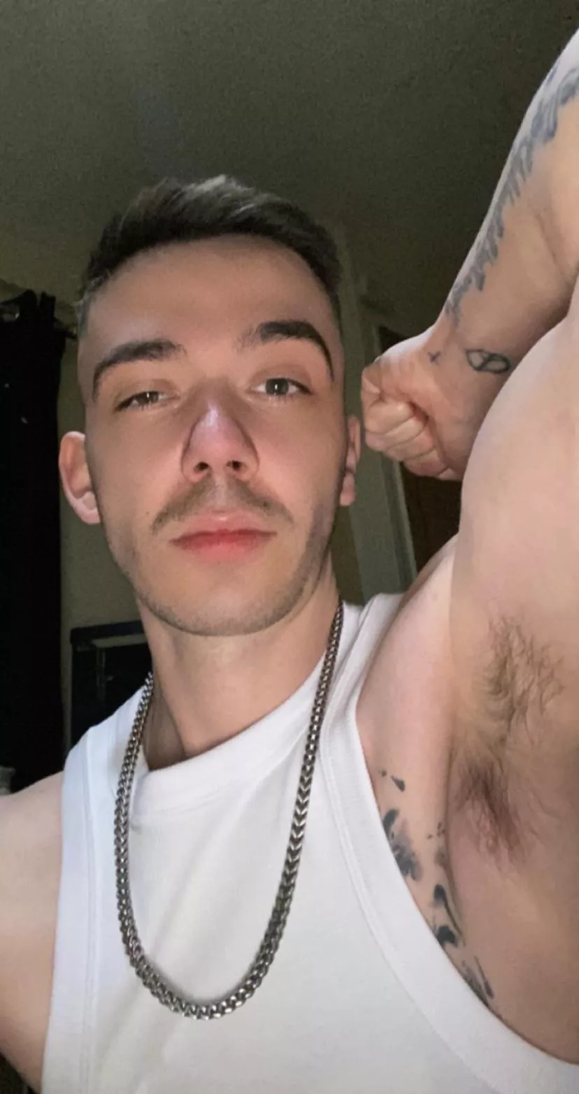 Welcome to sniff posted by AfraidReplacement393