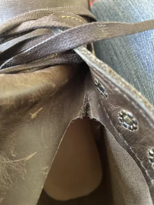 Can i fix this ? by Useful_Air_2477