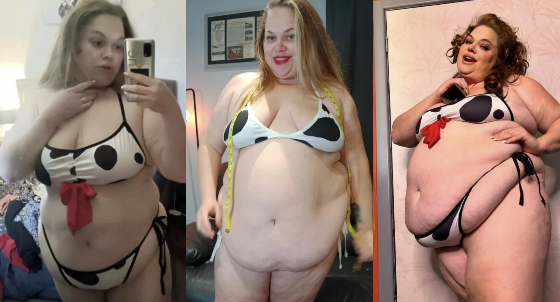 From little heifer to fat breeding cow  posted by onlyjaynefan