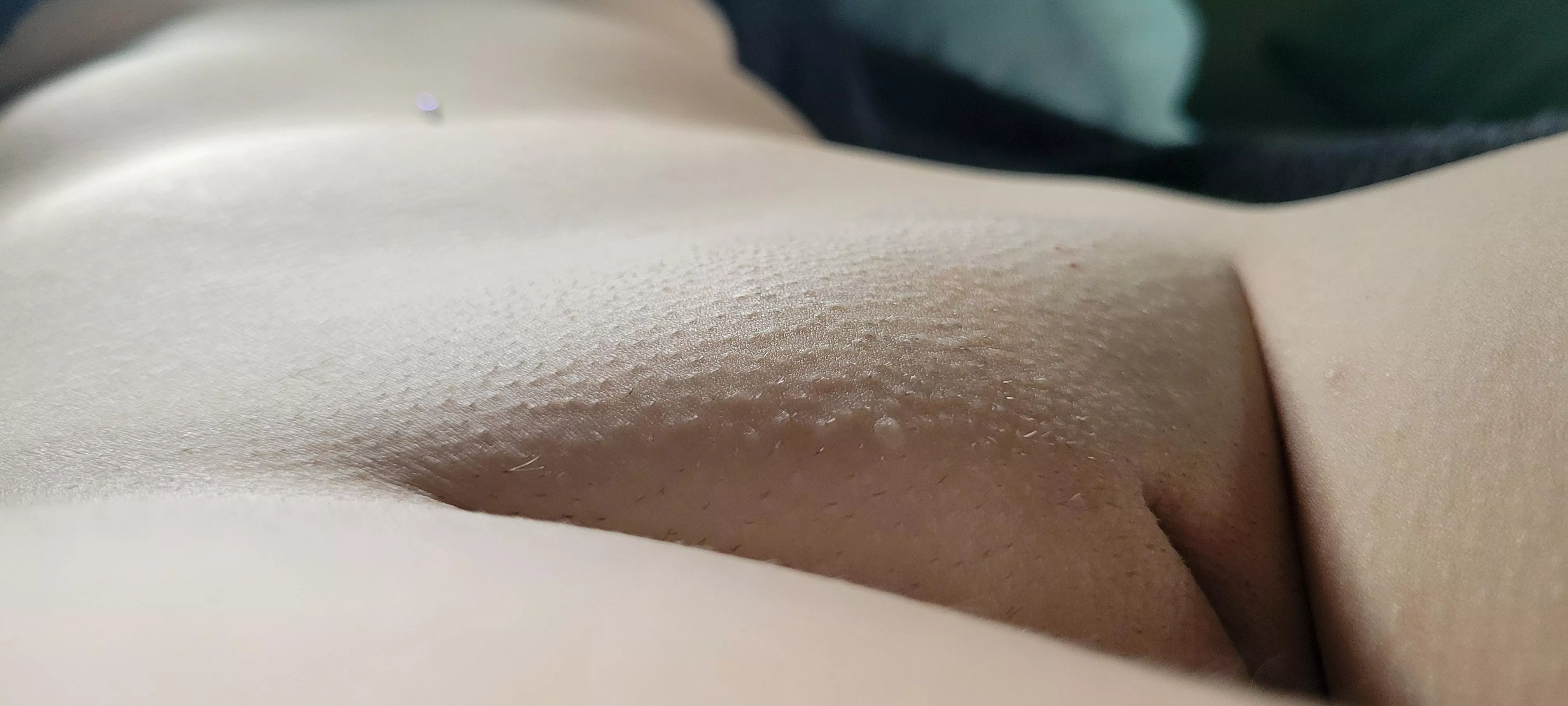 I know you want to touch it posted by oneshywife_reddit