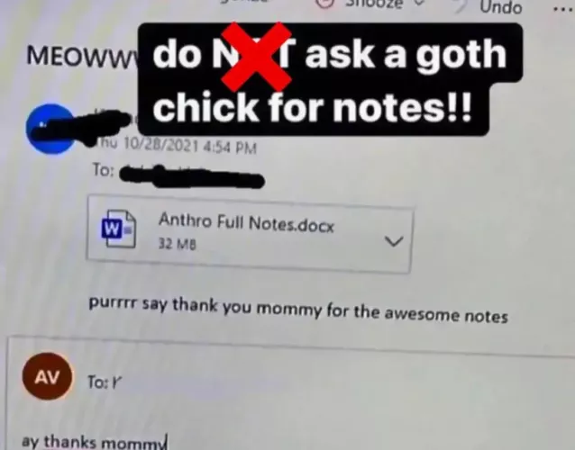 Is this real by Epikalballs1945