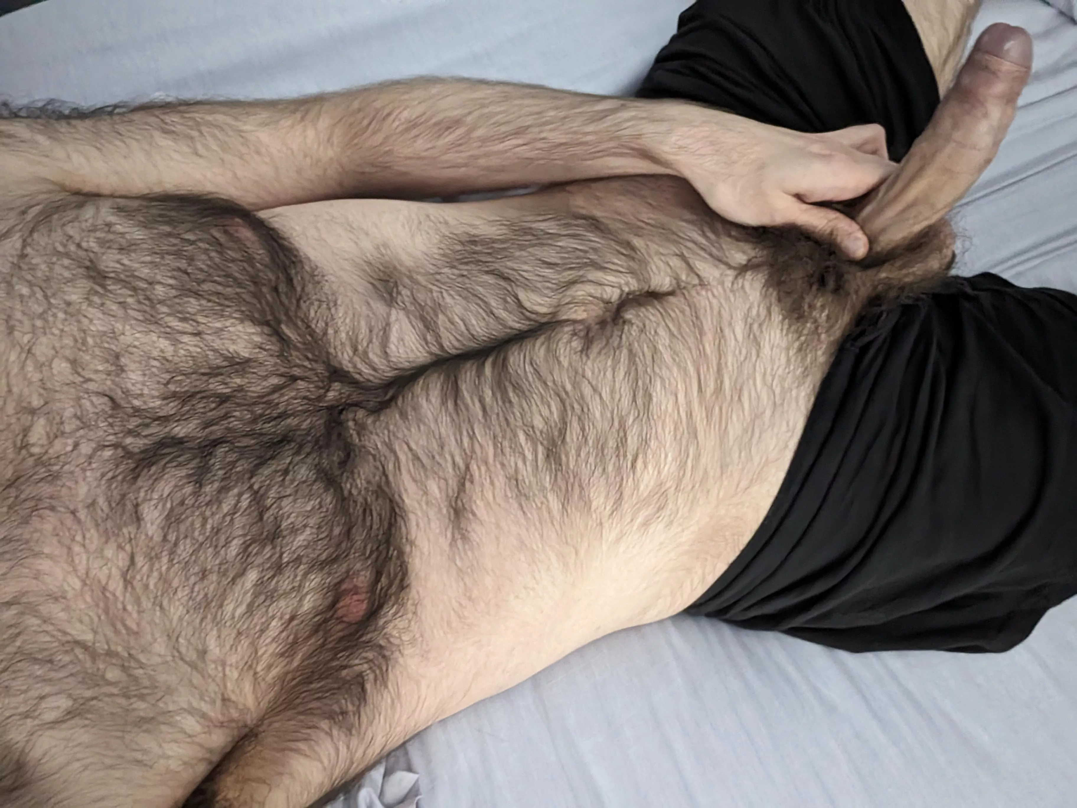 My hairy chest and dick are craving your attention once again 😇 posted by rblue3
