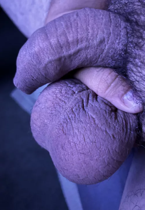 Sweet Dreams🥱😴 by Ornate_Owl1