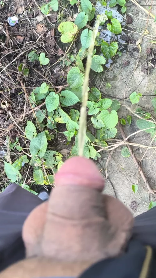 Watering the mountain. by Gorditoplayero