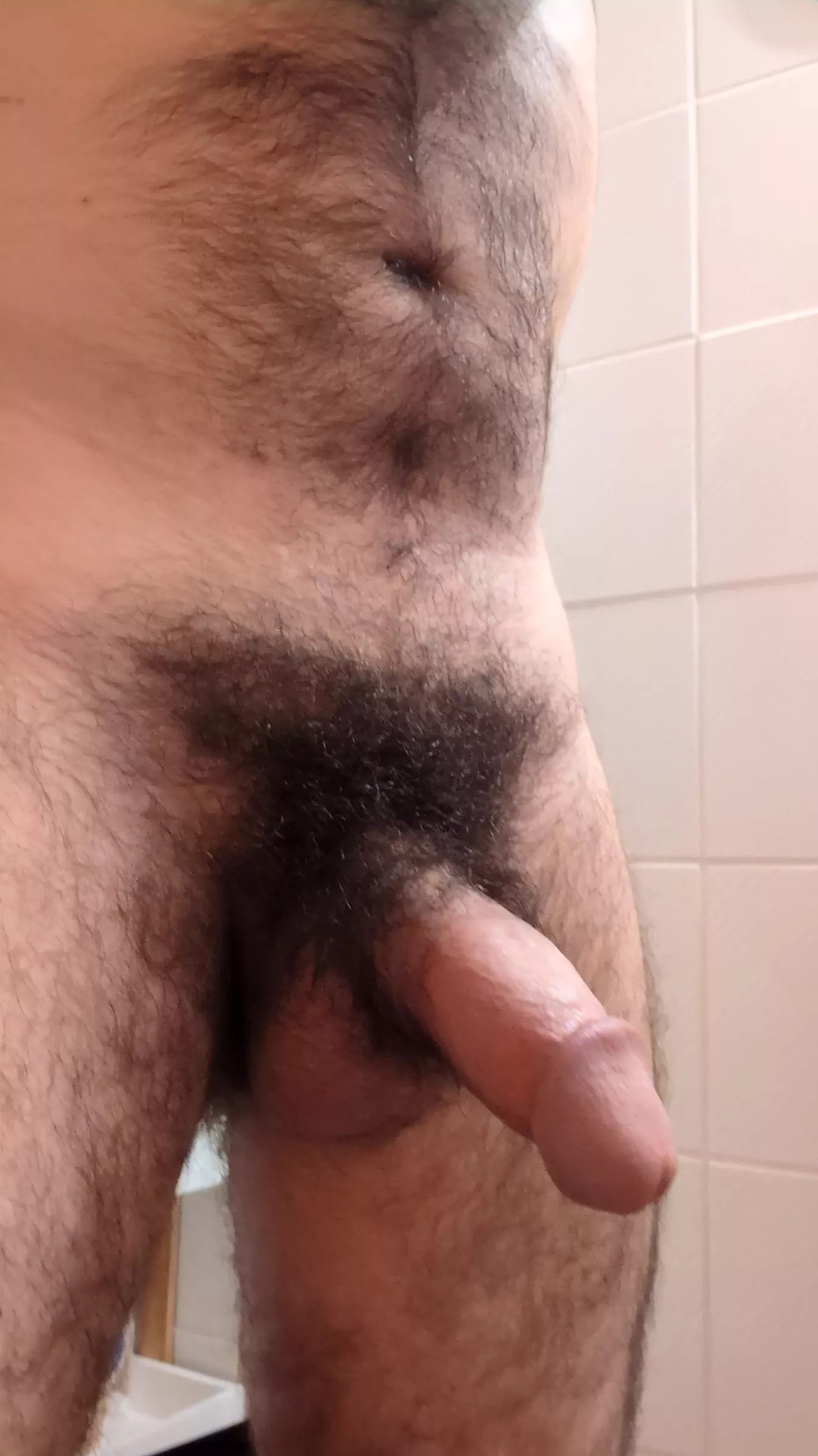 Would you suck my cock or balls first? posted by Rod-Hard7