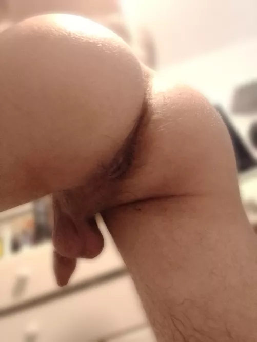 Bi curious, would love to try getting fucked by Powerful-Area-7519
