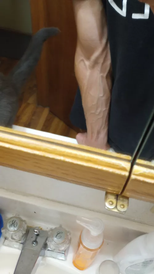 Do people buy this stuff?! 🤔 by Working_Bug_1368