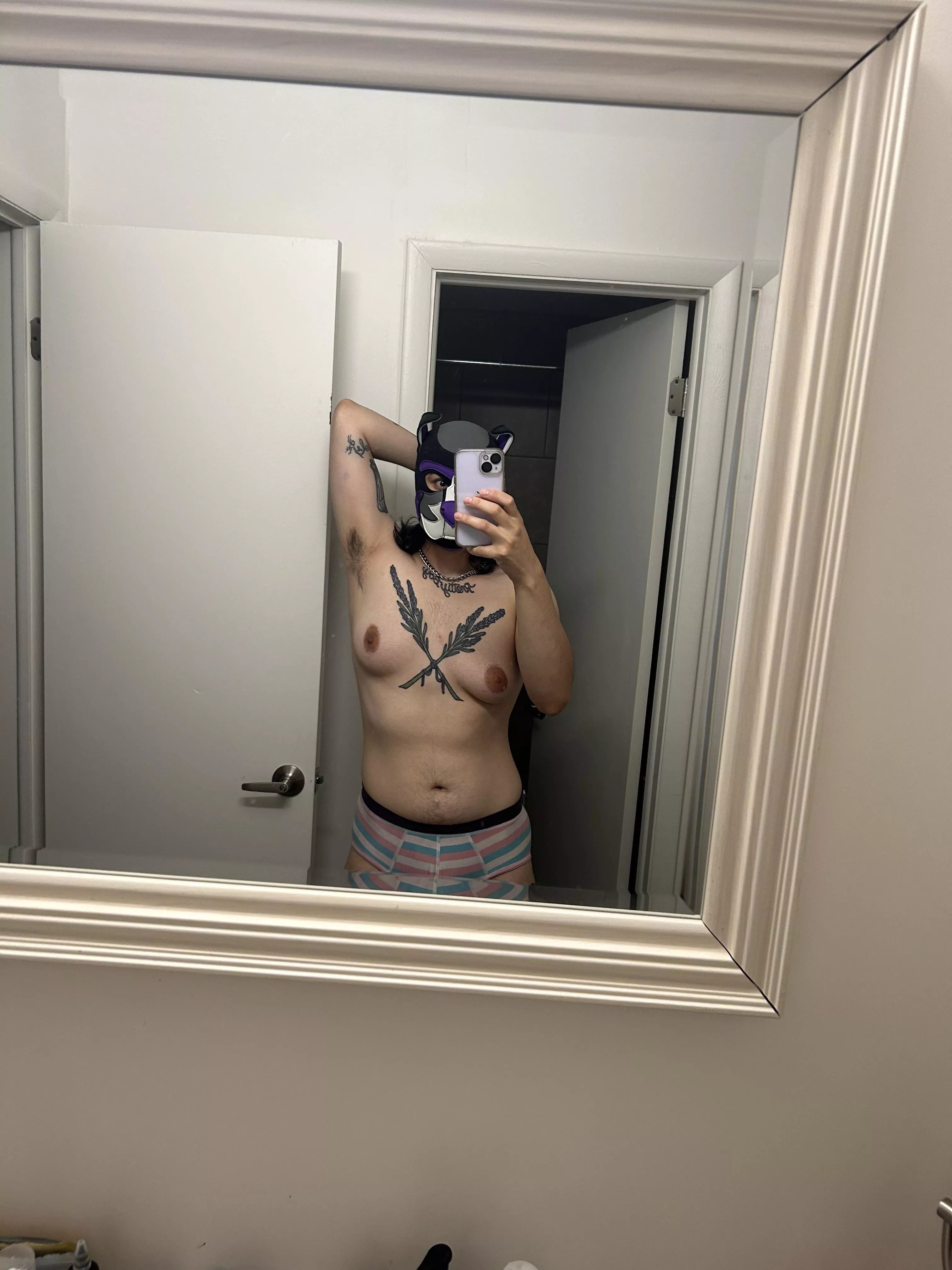 Do you think sir will like what I chose to clean up the house in?? posted by Tranzpuppy