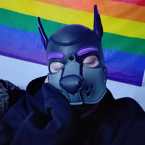 Hiiiii :3 by Odd-Needleworker-775