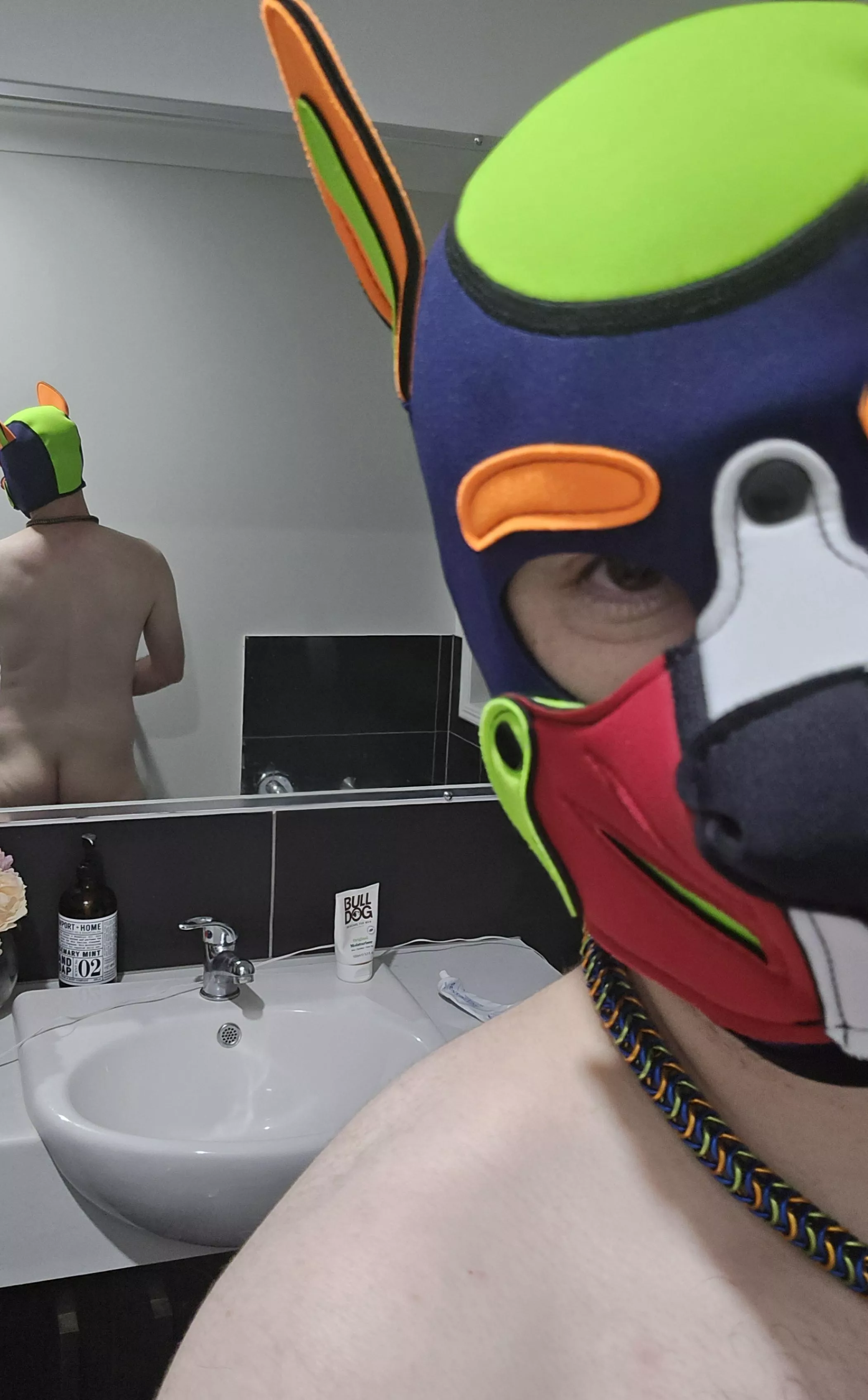 I was feeling naughty 🐶 posted by ukaussie69