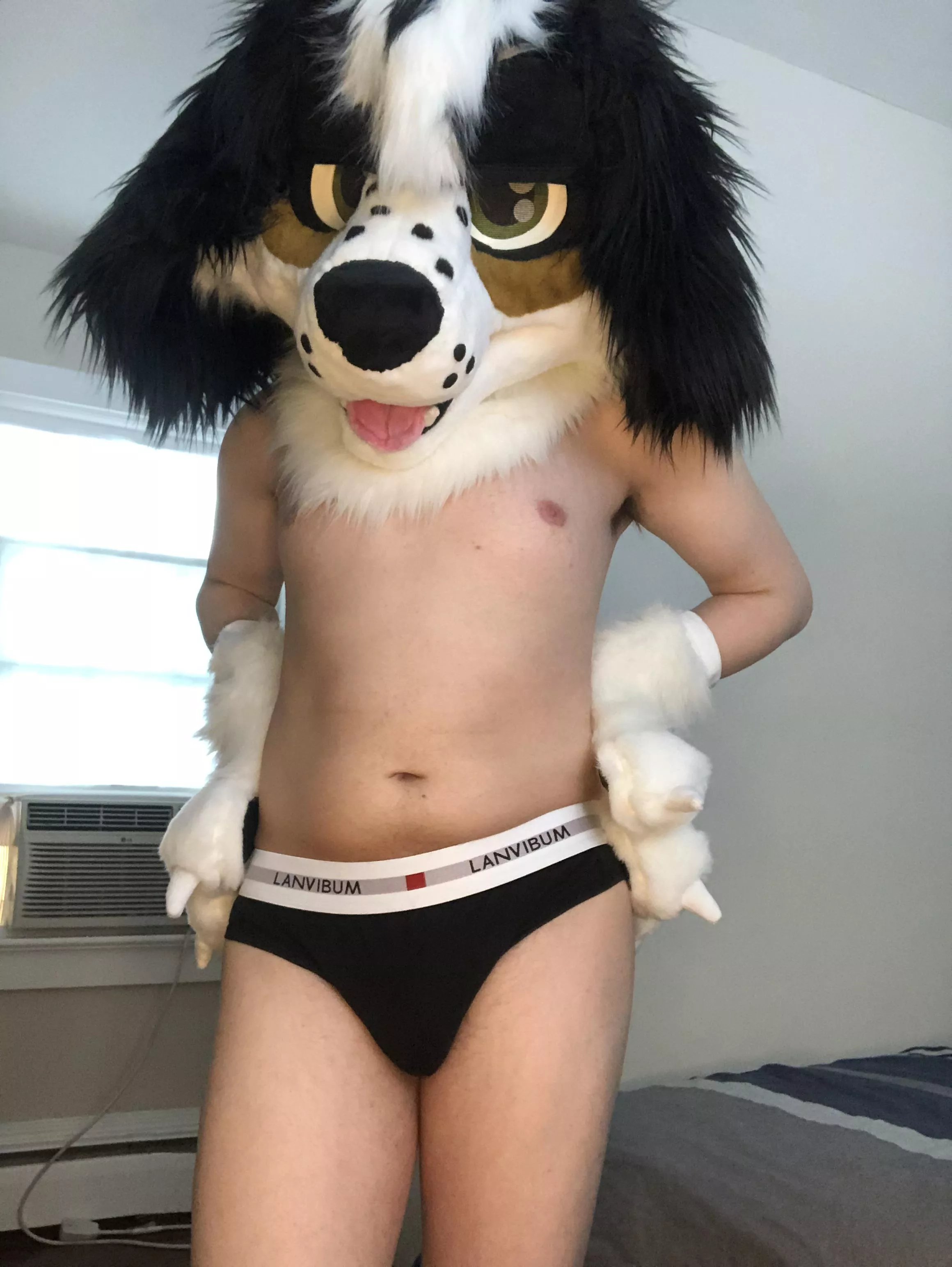 Is this what you call a hot dog? posted by Blushdog