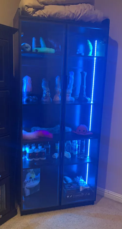 My collection by Miserable_Height_562