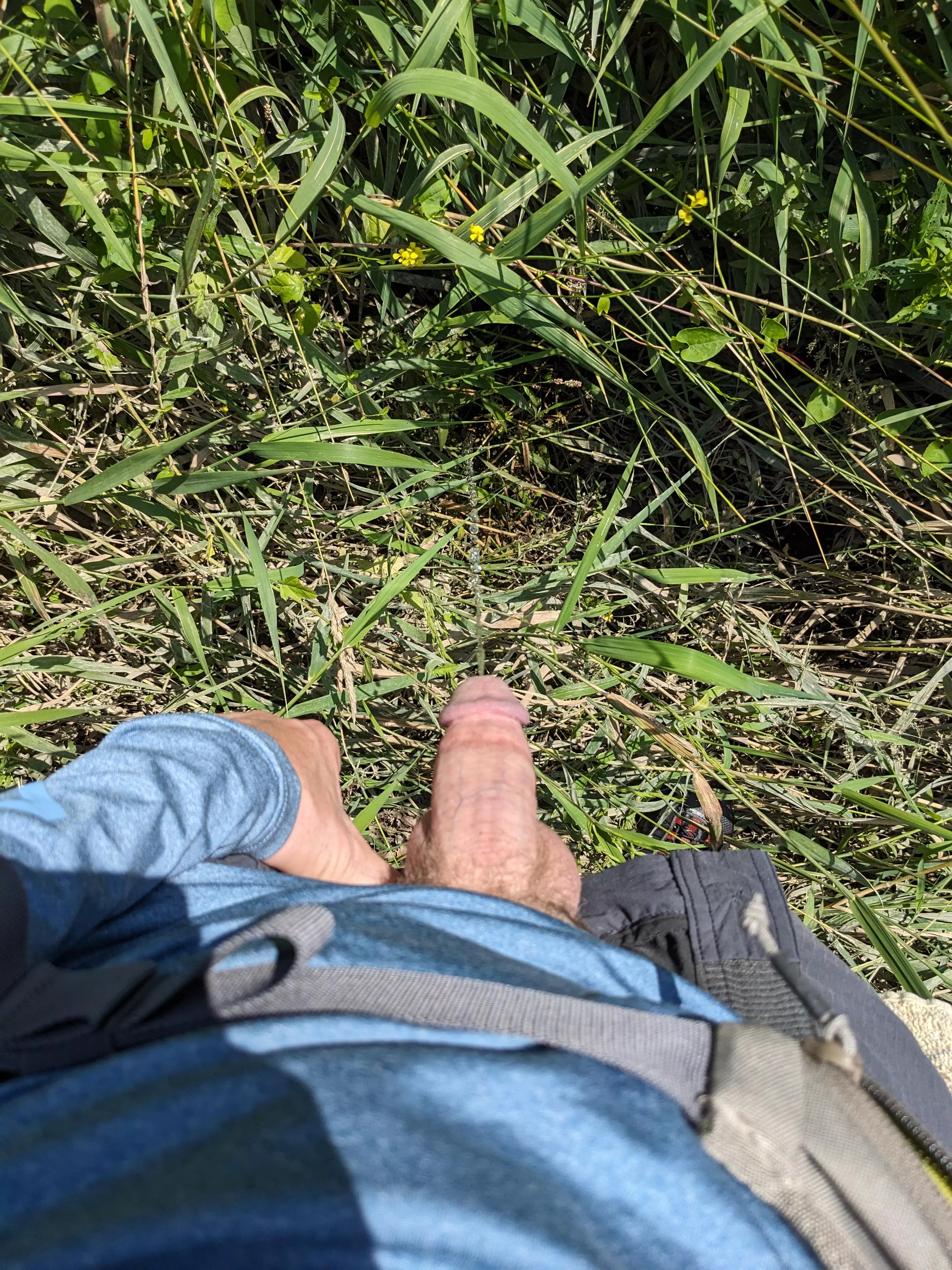 When Nature Calls posted by Professional_Move554