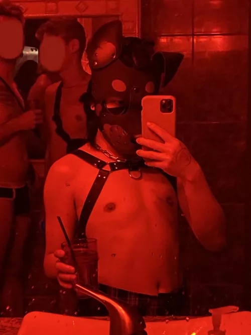 Who wants to play? Awrruff! by thetideishigh_