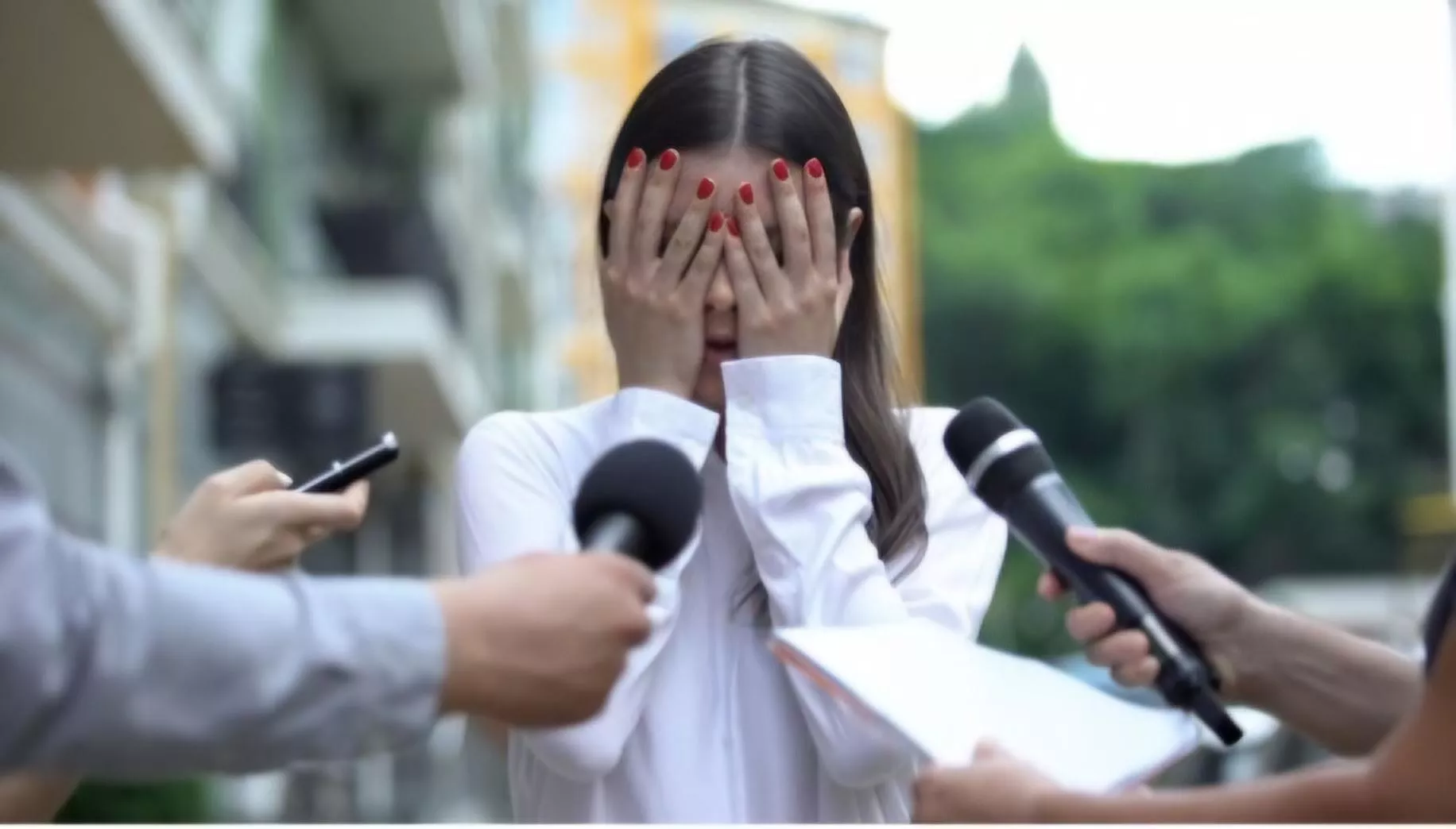 An emergency press conference from your Head of State.  posted by Rainbow_And_Sunshine
