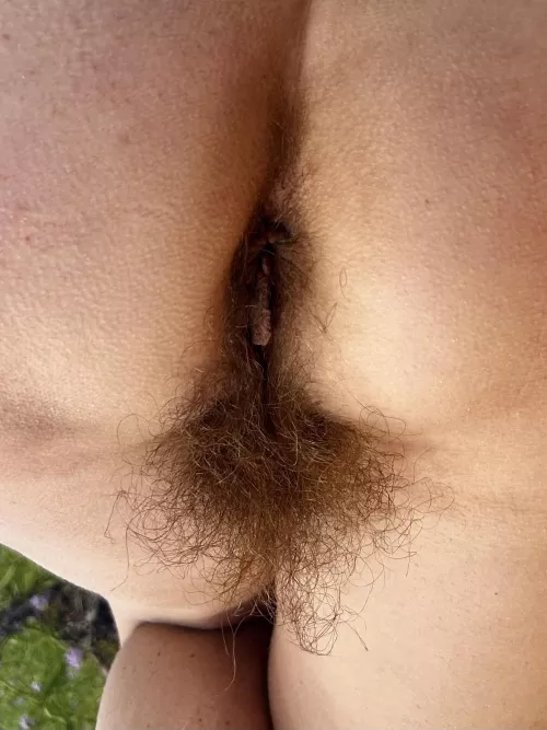 Beach day. Tanning my [h]airy asshole.  by hairybushsara