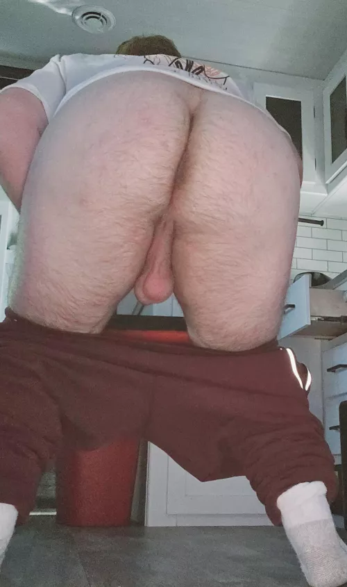 Hairy bear 🐻 Age: [27] by Ariesebster