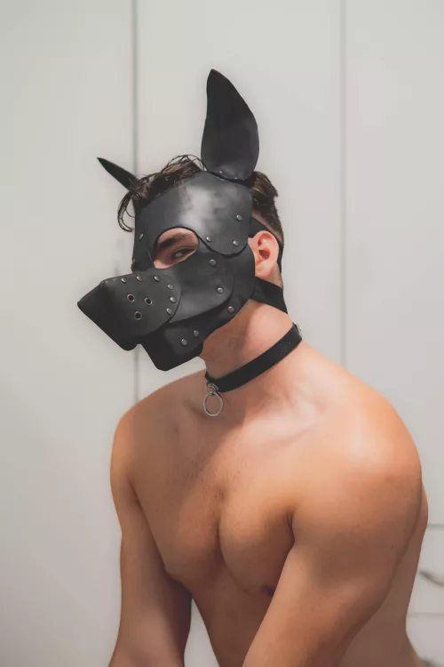 Hi puppies. This is my first pup hood. by bluebala66