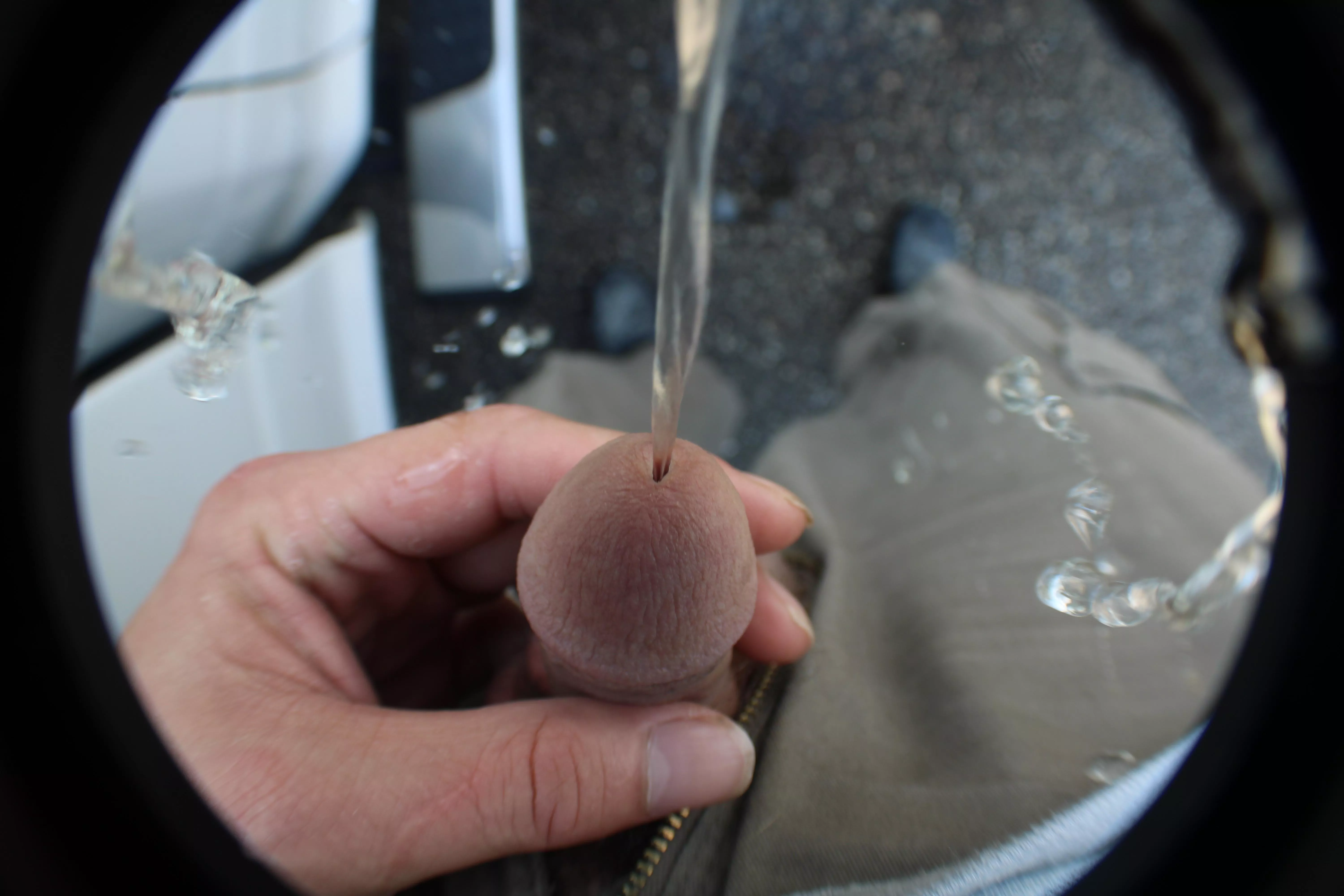 Camera fun  posted by greatscotpet