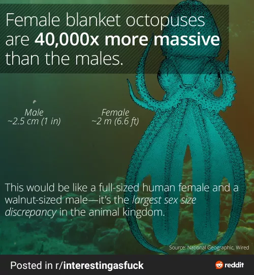 Hmm this reminds me of a subreddit but idk where where do you think this belongs? by Admirable-Slip6387