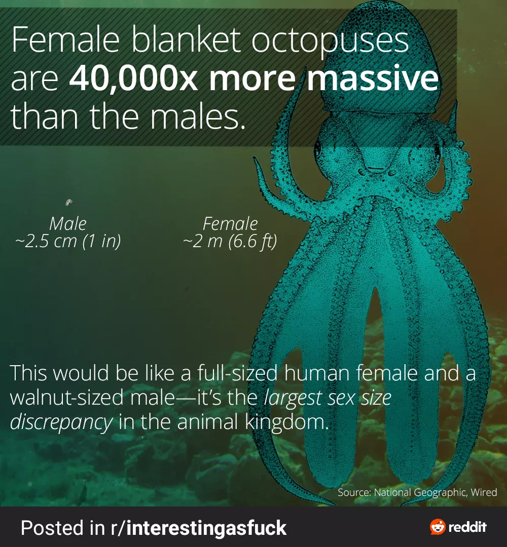 Hmm this reminds me of a subreddit but idk where where do you think this belongs? posted by Admirable-Slip6387