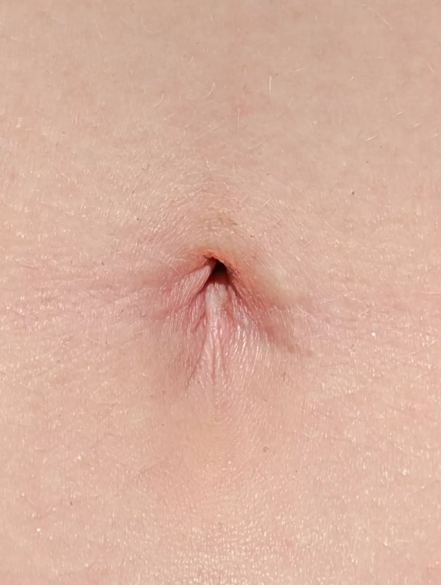 Nothing wrong with a nice close up! posted by sofia_shares