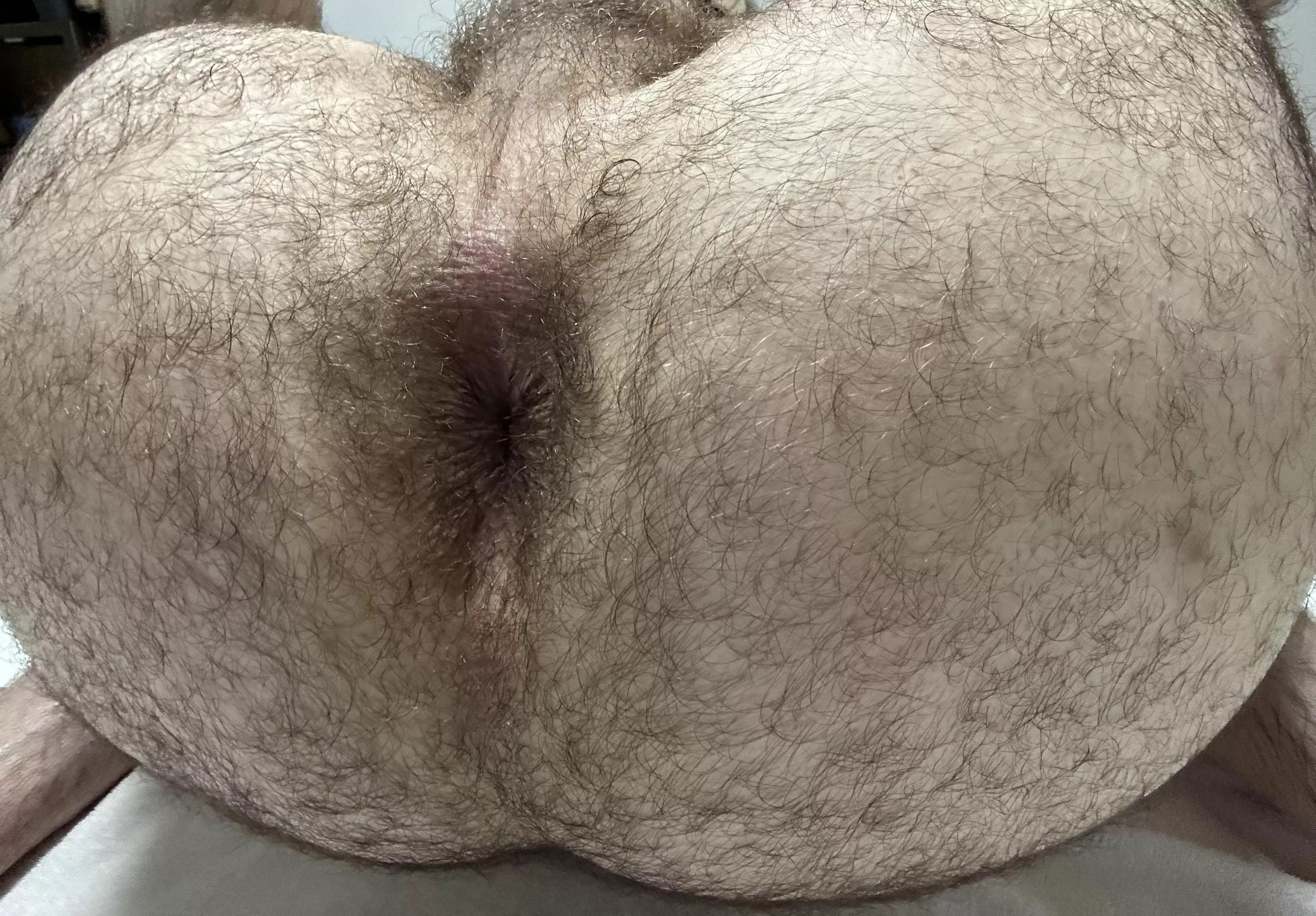 Wanna rub your nose in it? posted by best-hole