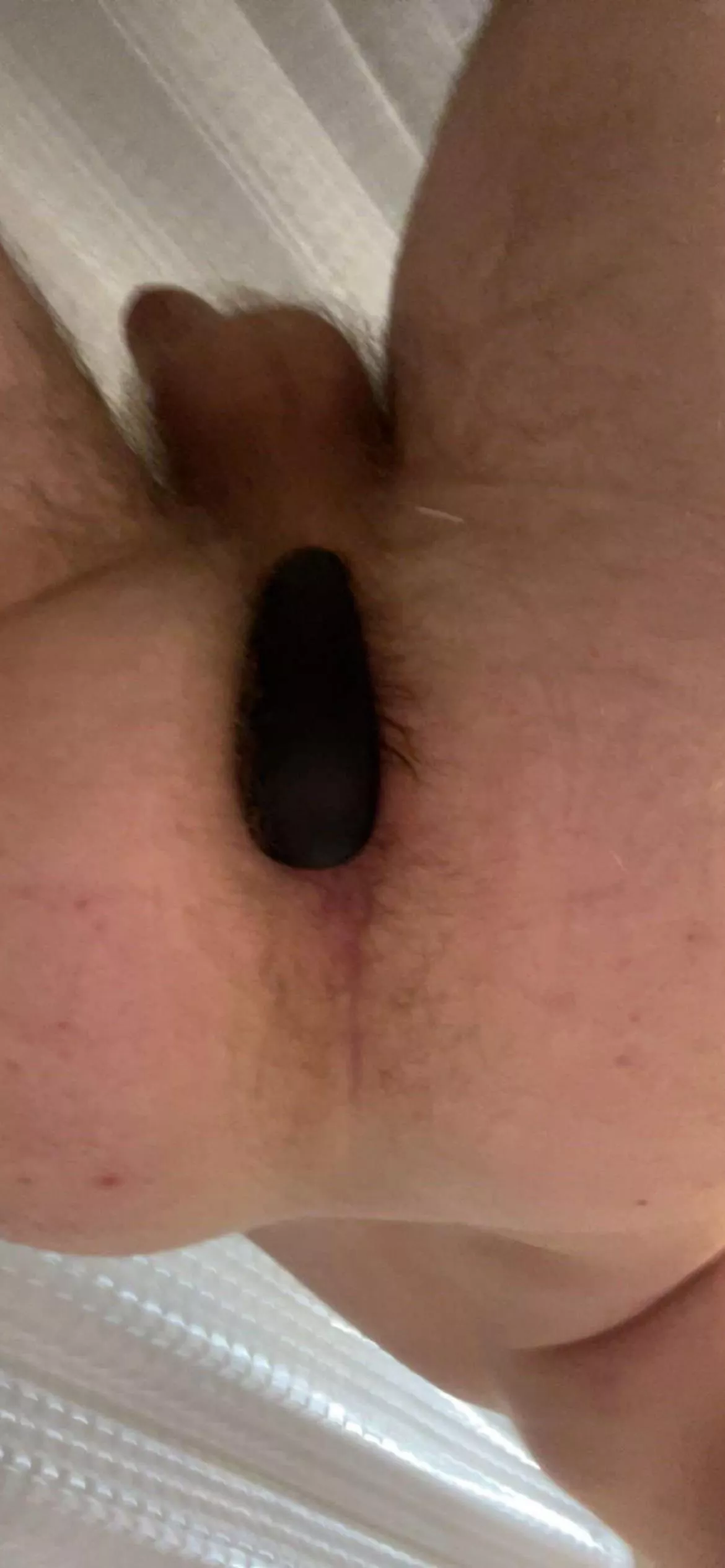 Wish it was a real cock posted by Express-Pie6384