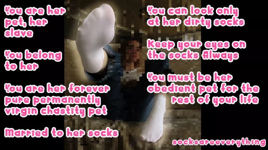 You are just a beta obedient little SocksSexual pet. Look only at the Socks always and forever stupid. by SocksAreEverything