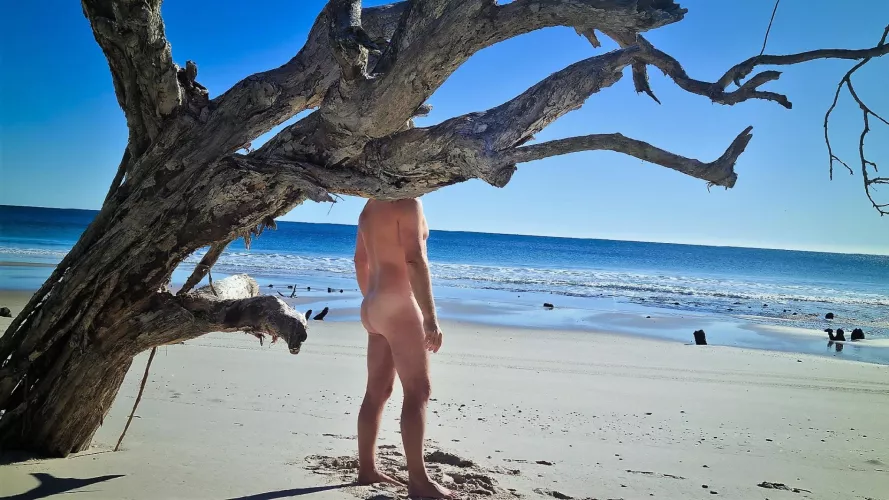 Spending time nude is time well spent by secludedlife