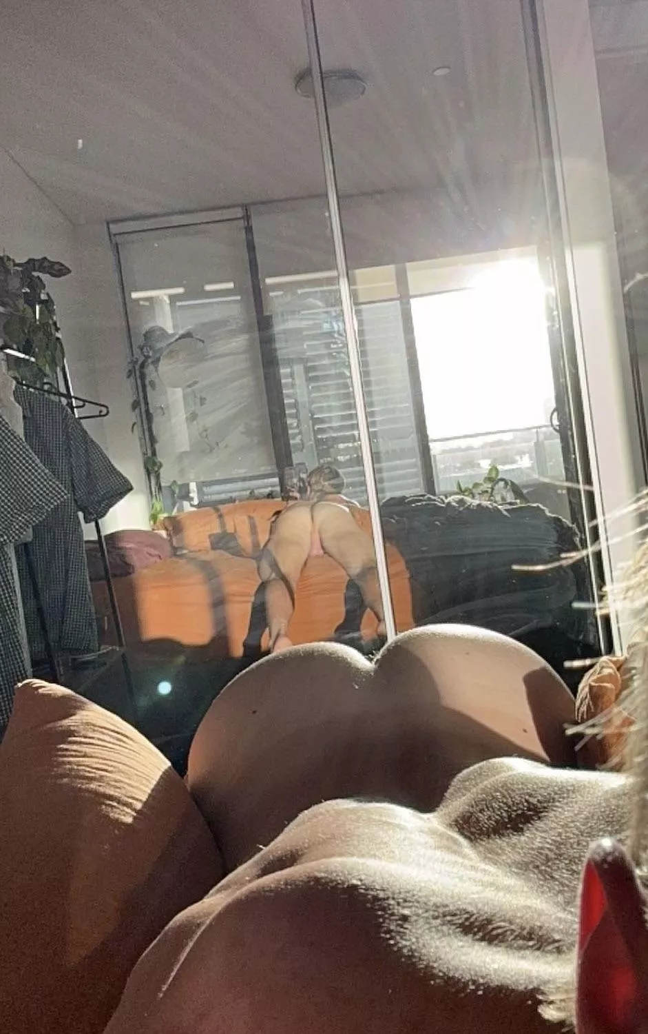 dinner is served ;) posted by Queeno1012_