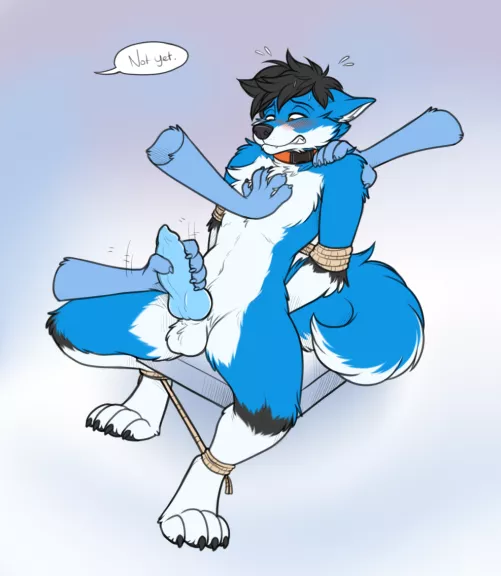 Edge (by Keihound) by extro_introverted