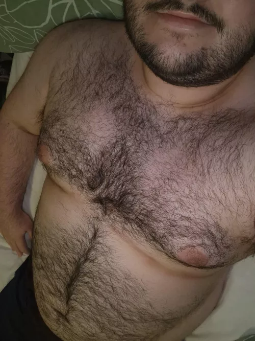 M28 UK bear by Beta_blockr