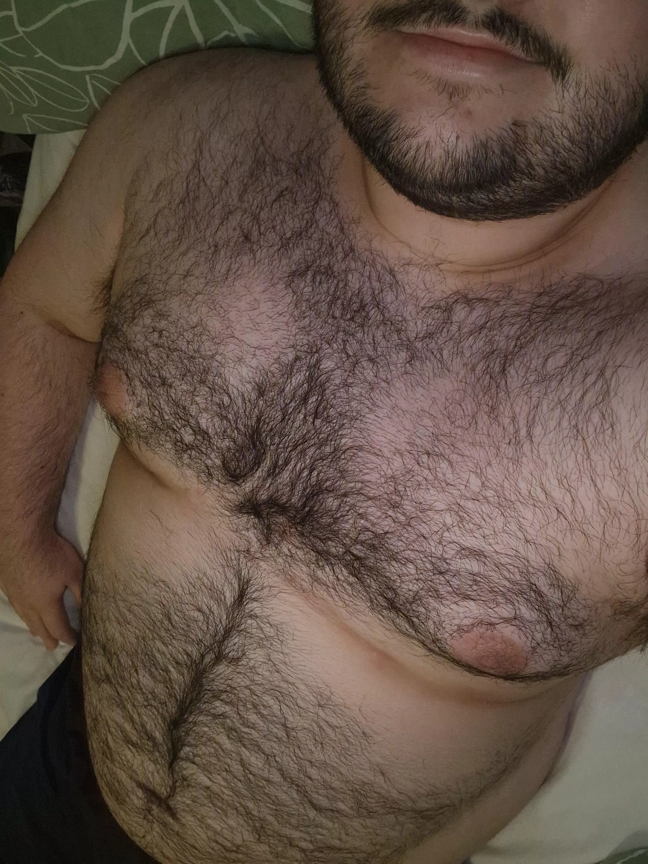 M28 UK bear posted by Beta_blockr