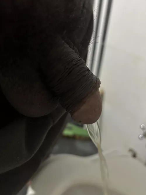 Peeing at home toilet by Spit2912