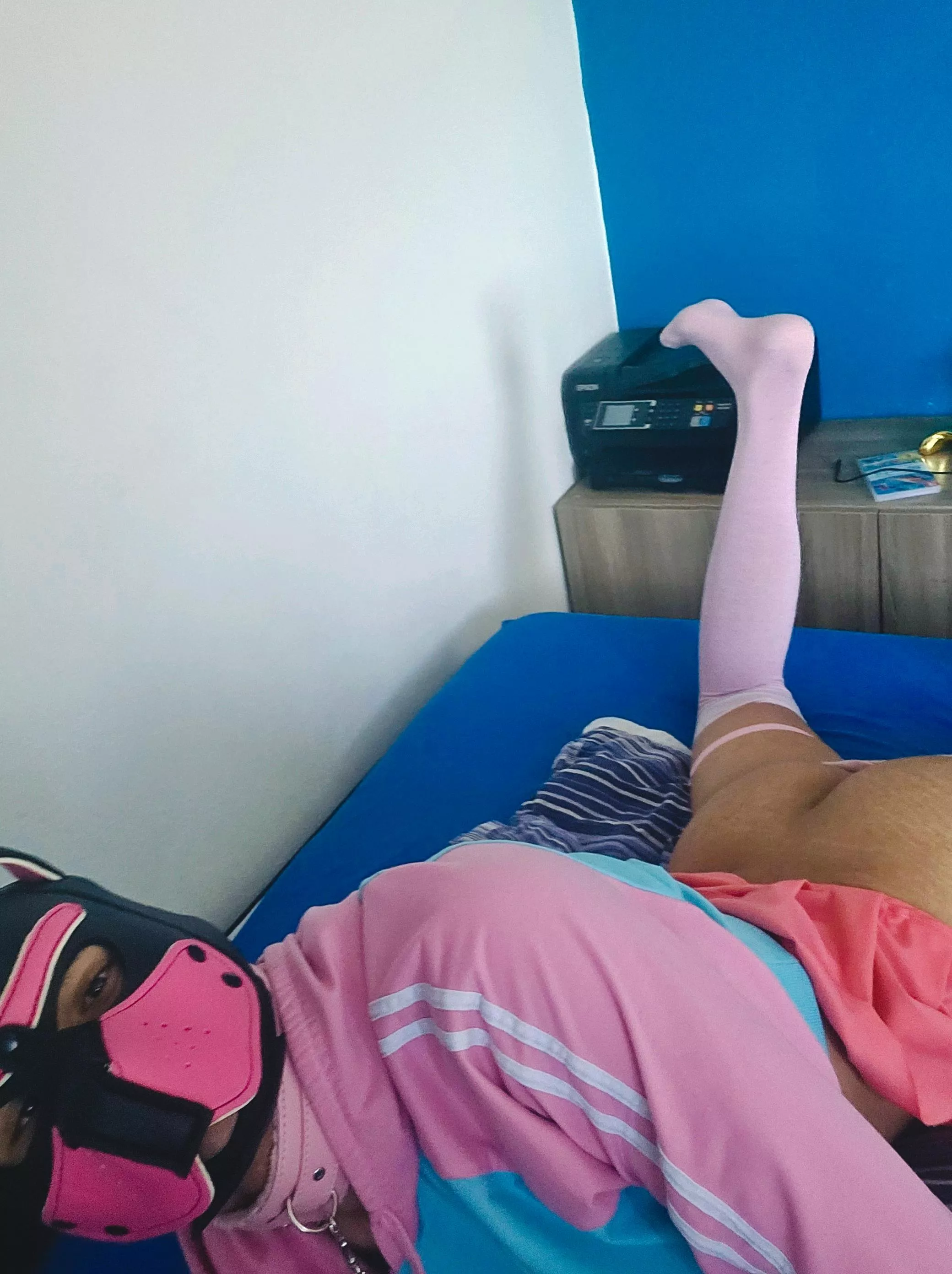 [21] Stray pup want to be a good boy posted by Fluffy_Foxy_UwU