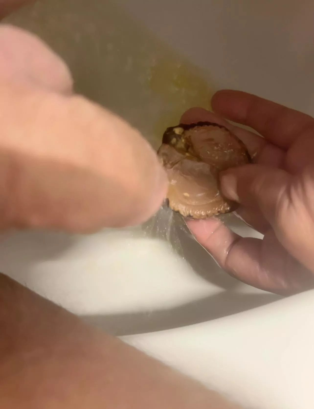 I piss on a Reese’s Piece’s Peanut Butter cup then eat it posted by The_Lethargic_Nerd