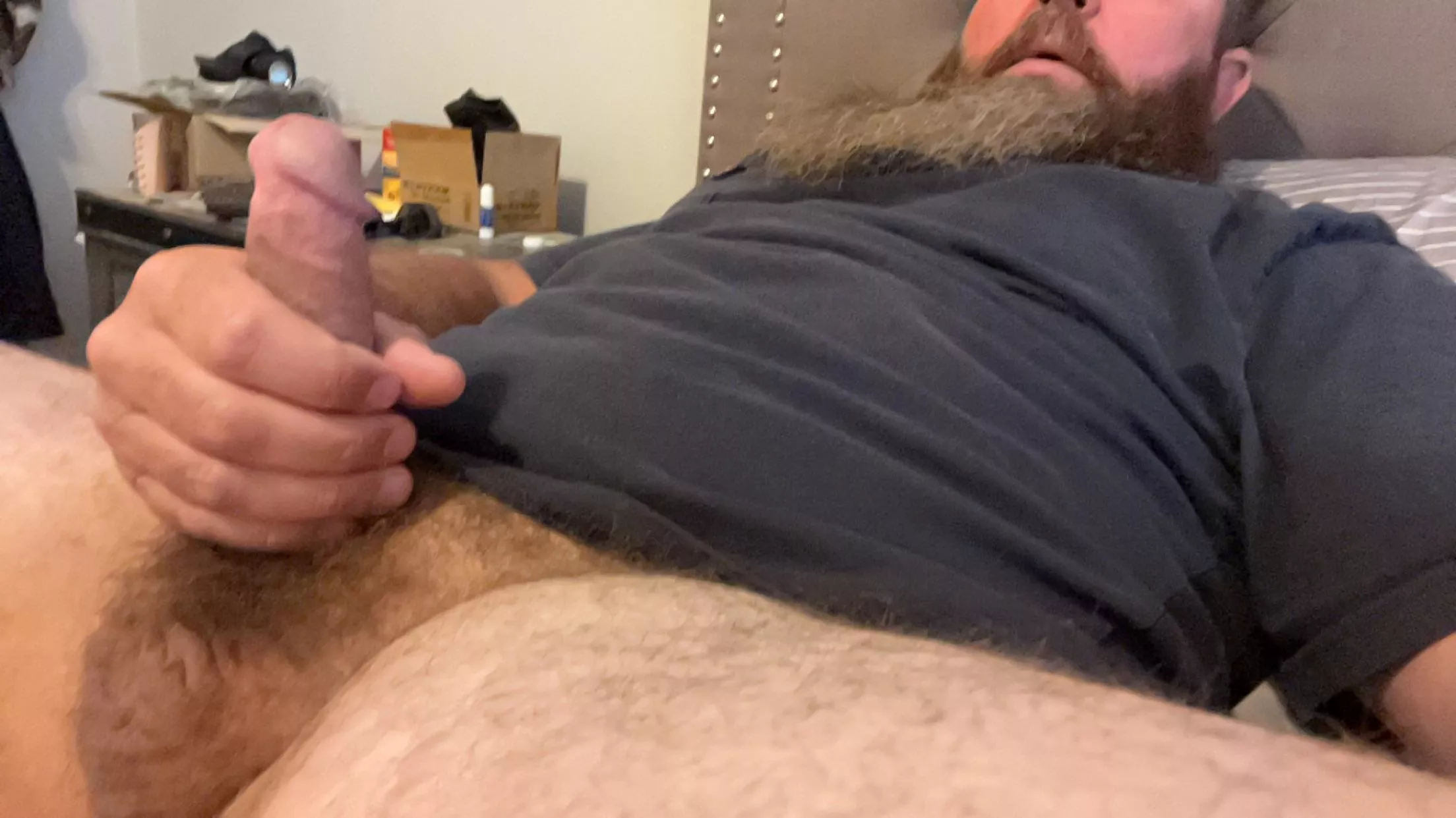 Can you help me tame this morning wood?  posted by normalvegasdude